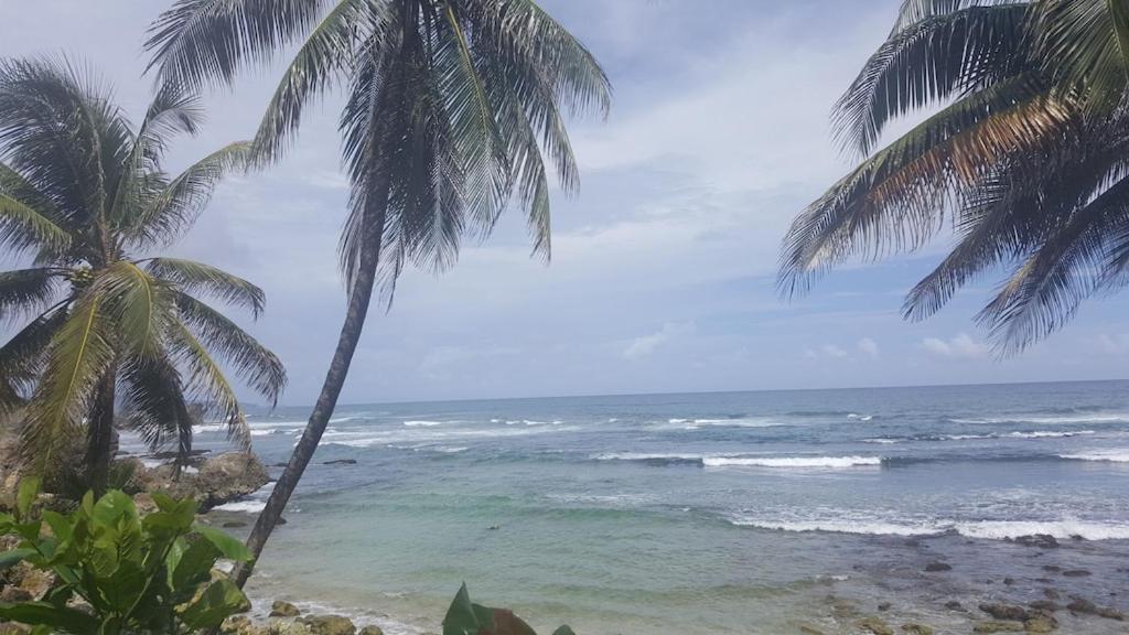 Donamae 2 Story Barbados House Villa Bridgetown Ngoại thất bức ảnh